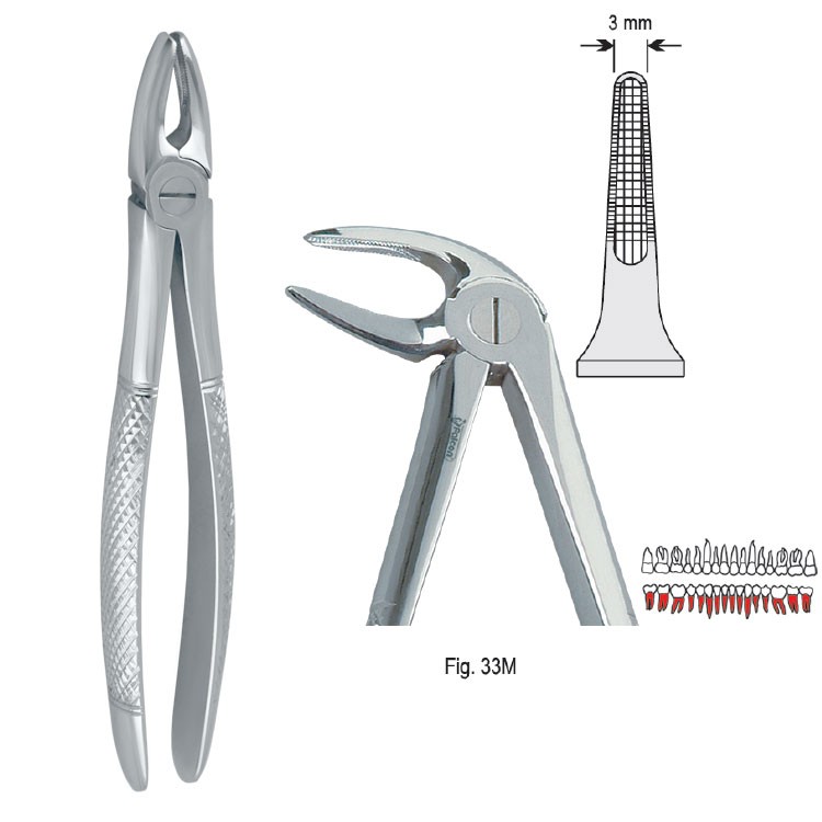 Kleszcze ekstrakcyjne mod. Europejski do korzeni dolnych długie fig. 33M