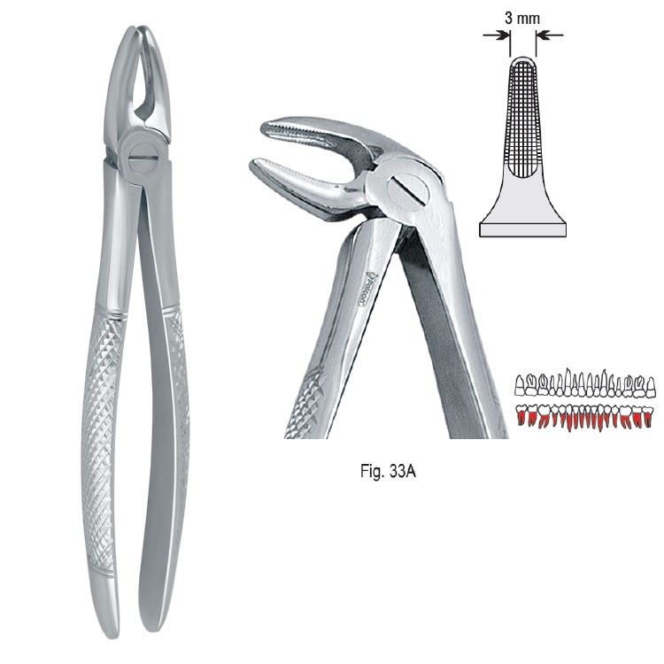 Kleszcze ekstrakcyjne mod. Europejski do korzeni dolnych wąskie fig. 33A