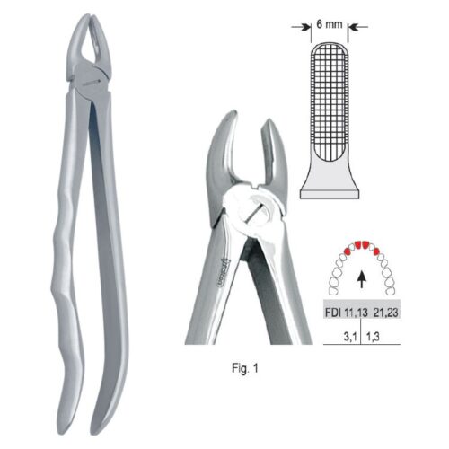 Kleszcze ekstrakcyjne anatomiczne do zębów przednich górnych szerokie fig.1
