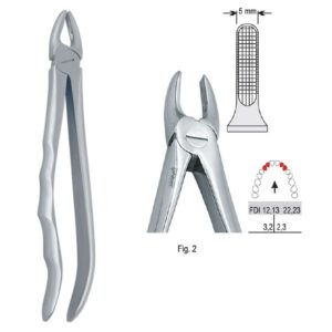 Kleszcze ekstrakcyjne anatomiczne do zębów przednich górnych wąskie fig. 2