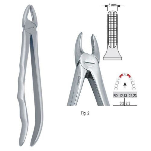 Kleszcze ekstrakcyjne anatomiczne do zębów przednich górnych wąskie fig. 2