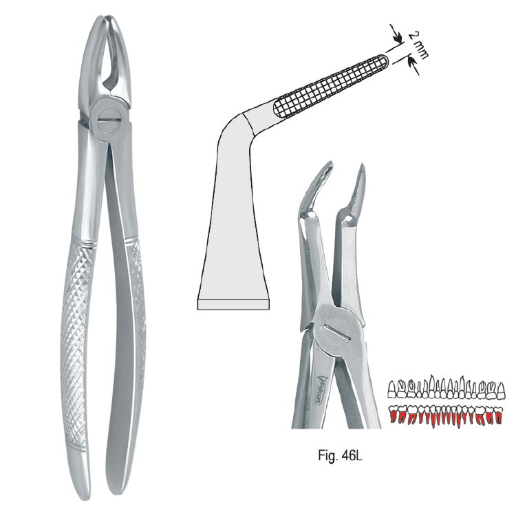 Kleszcze ekstrakcyjne mod. Europejski do korzeni dolnych długie fig. 46L