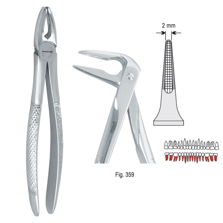 Kleszcze ekstrakcyjne mod. Europejski do korzeni dolnych długie fig. 359