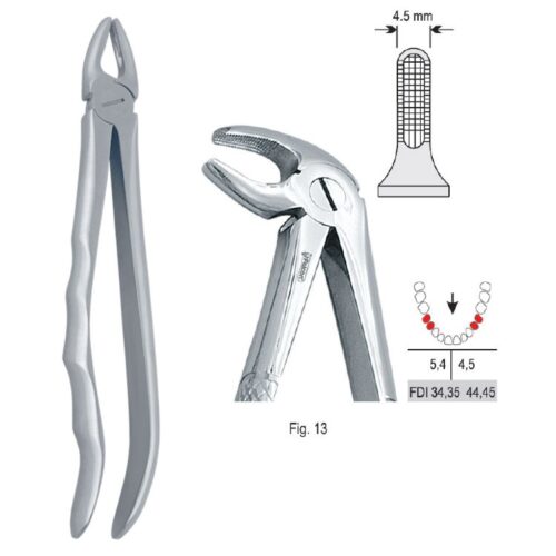 Kleszcze ekstrakcyjne anatomiczne do zębów przedtrzonowych dolnych fig.13