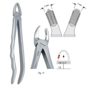 Kleszcze ekstrakcyjne anatomiczne do zębów trzonowych górnych prawych fig. 17