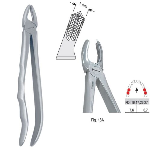 Kleszcze ekstrakcyjne anatomiczne do zębów trzonowych górnych fig. 18A