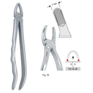 Kleszcze ekstrakcyjne anatomiczne do zębów mądrości górnych fig. 19