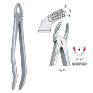 Kleszcze ekstrakcyjne anatomiczne do zębów trzonowych dolnych fig. 21