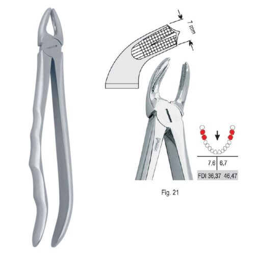 Kleszcze ekstrakcyjne anatomiczne do zębów trzonowych dolnych fig. 21