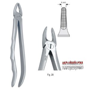 Kleszcze ekstrakcyjne anatomiczne do korzeni górnych fig. 29