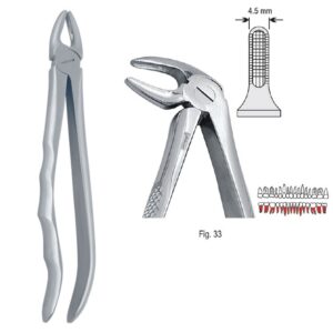 Kleszcze ekstrakcyjne anatomiczne do korzeni dolnych fig. 33