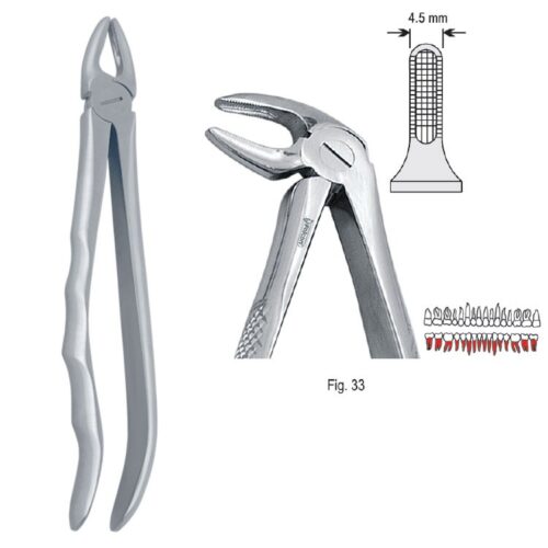 Kleszcze ekstrakcyjne anatomiczne do korzeni dolnych fig. 33