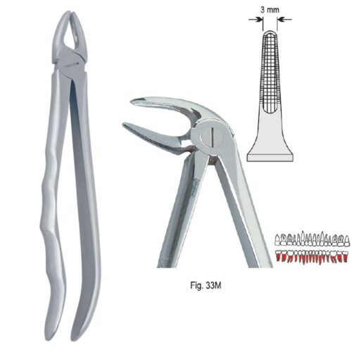 Kleszcze ekstrakcyjne anatomiczne do korzeni dolnych długie fig. 33M