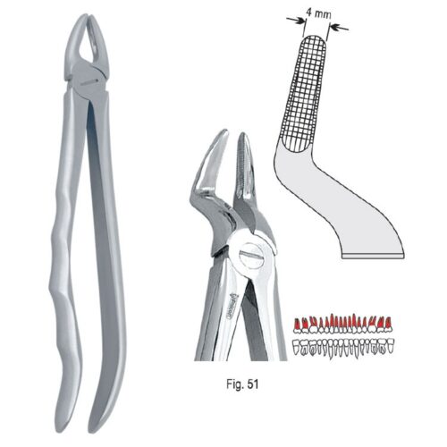 Kleszcze ekstrakcyjne anatomiczne do korzeni górnych wąskie fig. 51A