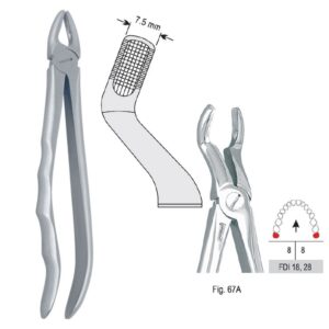 Kleszcze ekstrakcyjne anatomiczne do zębów mądrości górnych fig. 67A