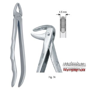 Kleszcze ekstrakcyjne anatomiczne do korzeni dolnych fig. 74