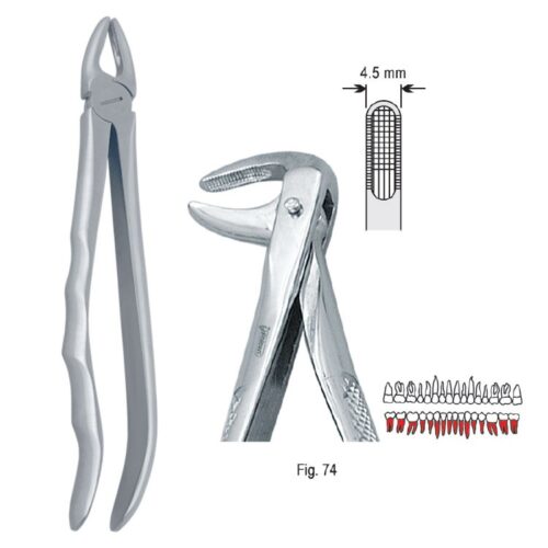 Kleszcze ekstrakcyjne anatomiczne do korzeni dolnych fig. 74