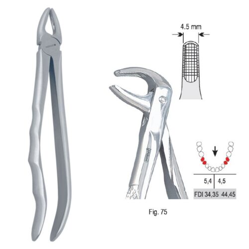 Kleszcze ekstrakcyjne anatomiczne do zębów przedtrzonowych dolnych fig.75
