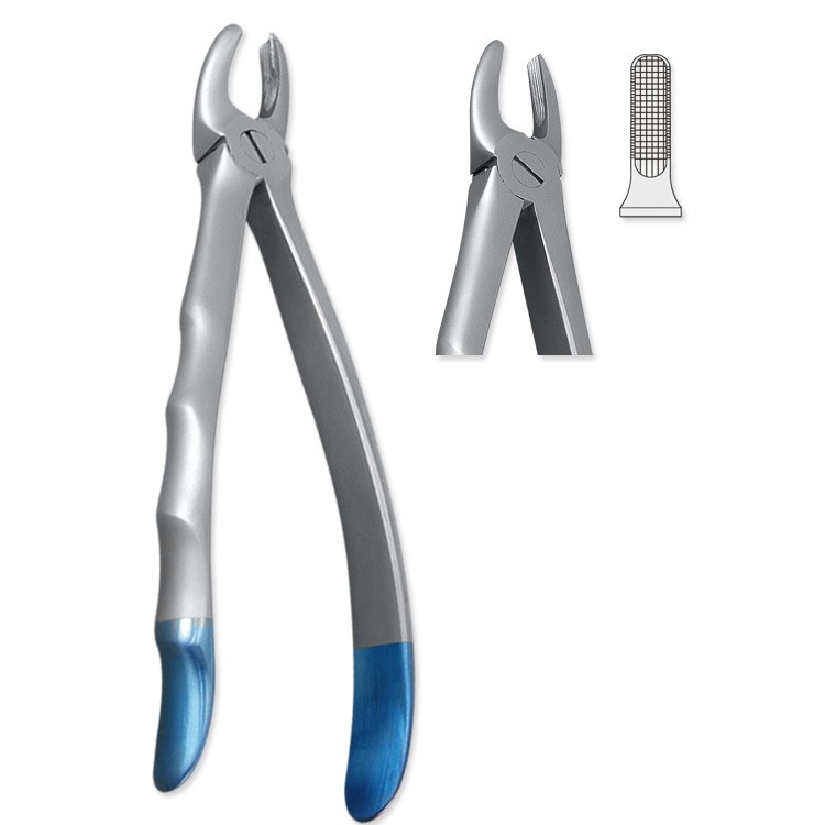 Kleszcze ekstrakcyjne tytanowe anatomiczne do zębów przednich górnych szerokie fig.1