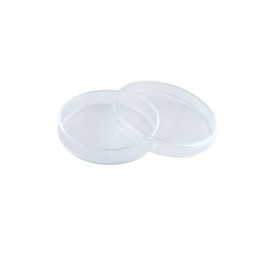 Płytka Petriego szklana 80x15mm
