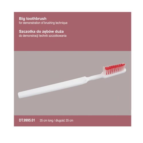 Szczotka do zębów 35cm
