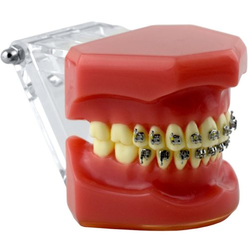 Model pokazowy z zamkami Mark-II Roth .022" 5x5, z haczykiem na 3,4,5