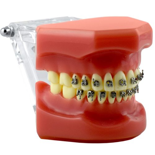 Model pokazowy z zamkami Mark-I Roth .022" 5x5, z haczykiem na 3,4,5